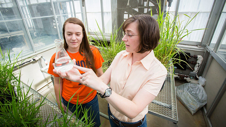 Woodchip bioreactors undergo testing for removing pollution from point ...