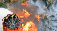 LA Wild Fire cleanup